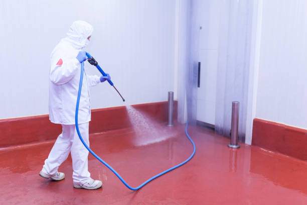 Best Rust Removal  in Vicksburg, MS