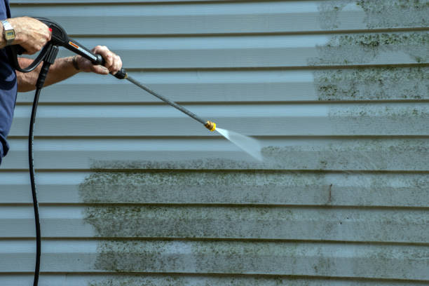 Best Gutter Cleaning  in Vicksburg, MS