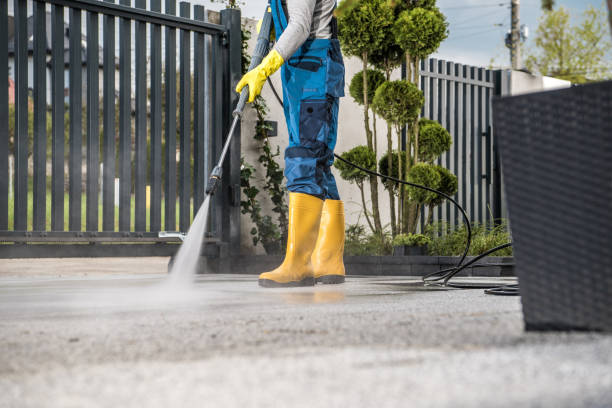 Best Soft Washing  in Vicksburg, MS